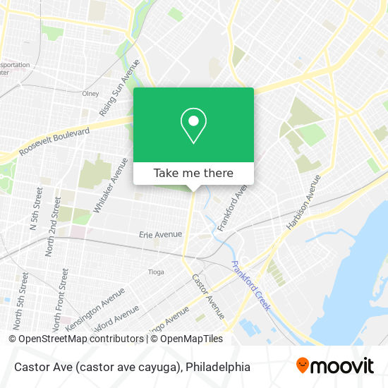 Castor Ave (castor ave cayuga) map