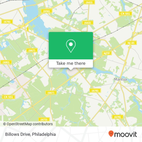 Billows Drive map