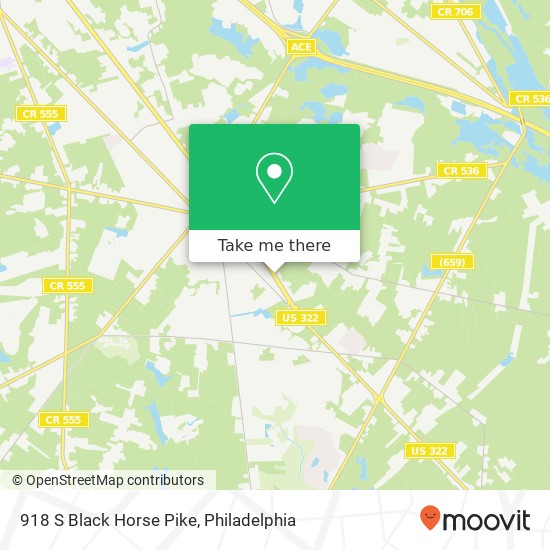 918 S Black Horse Pike map