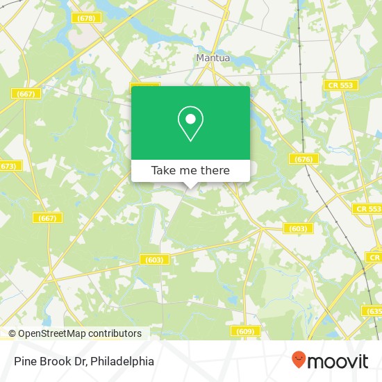 Pine Brook Dr map
