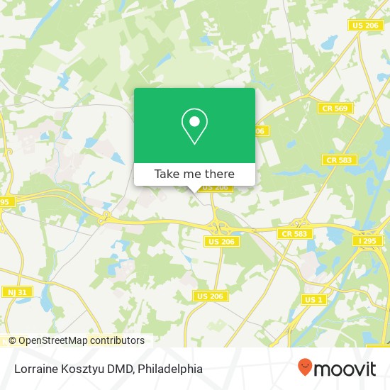 Mapa de Lorraine Kosztyu DMD