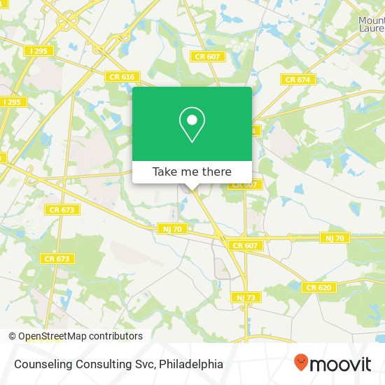 Counseling Consulting Svc map