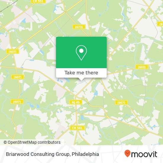 Mapa de Briarwood Consulting Group