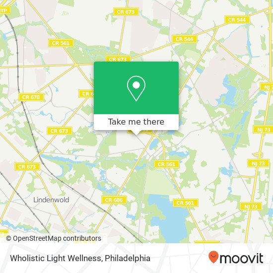 Wholistic Light Wellness map