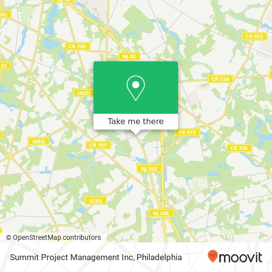 Mapa de Summit Project Management Inc