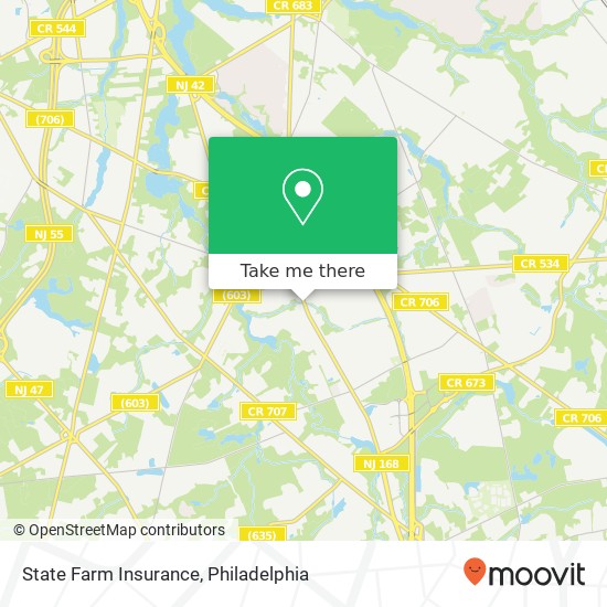 State Farm Insurance map