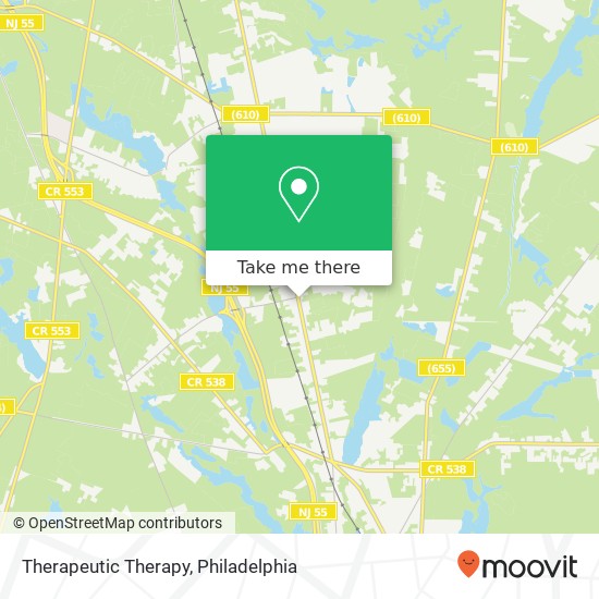 Therapeutic Therapy map