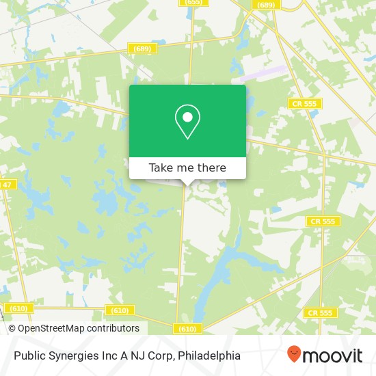 Mapa de Public Synergies Inc A NJ Corp