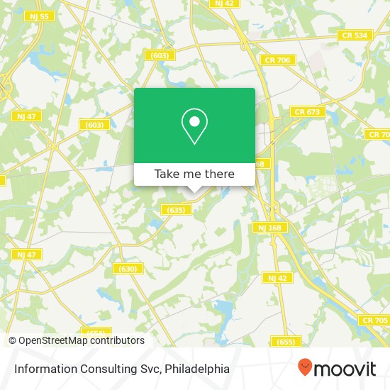 Information Consulting Svc map