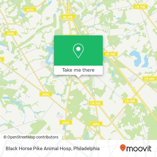 Black Horse Pike Animal Hosp map