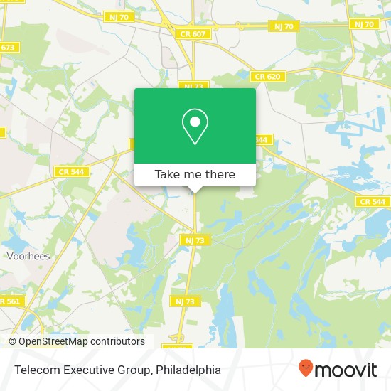 Telecom Executive Group map