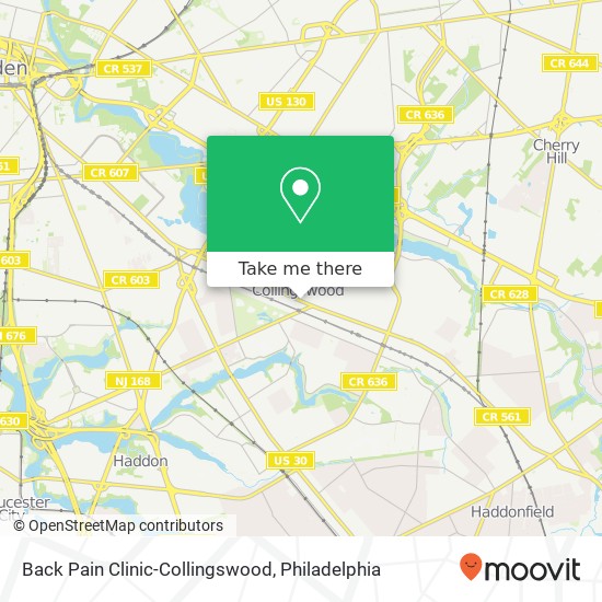 Mapa de Back Pain Clinic-Collingswood