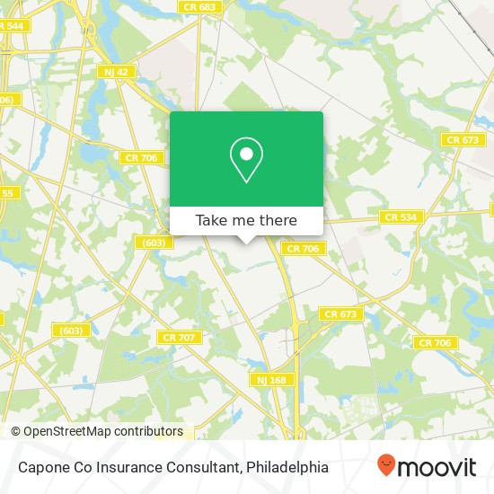 Capone Co Insurance Consultant map