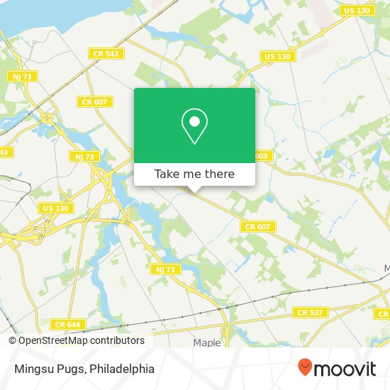 Mingsu Pugs map