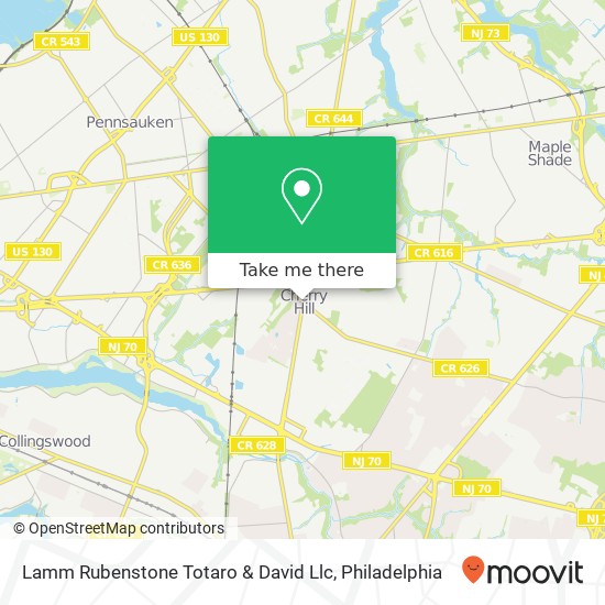 Lamm Rubenstone Totaro & David Llc map