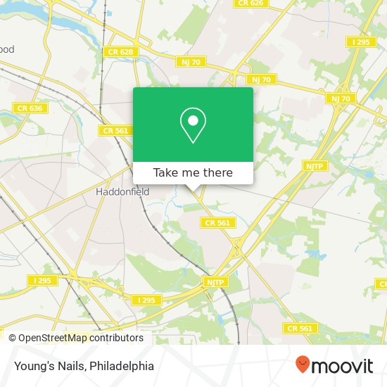 Young's Nails map