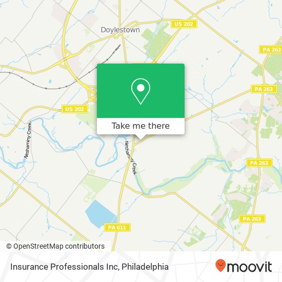 Insurance Professionals Inc map