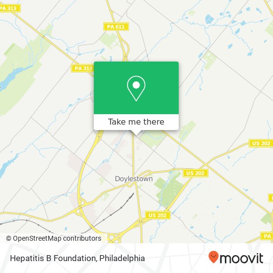 Hepatitis B Foundation map