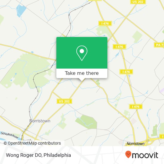 Wong Roger DO map