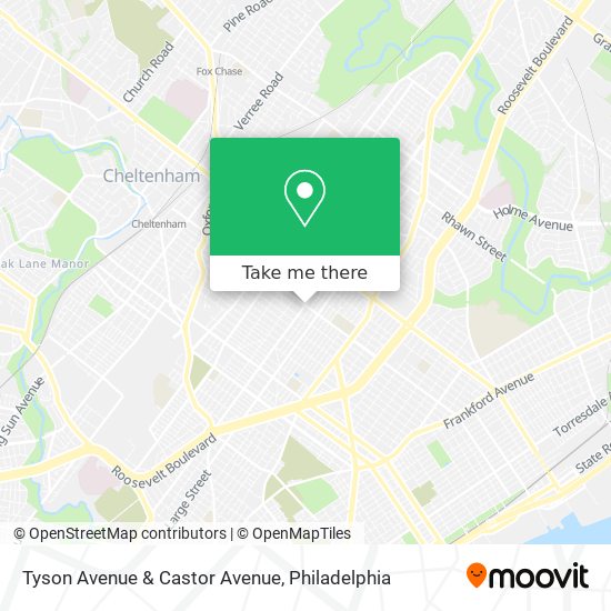 Mapa de Tyson Avenue & Castor Avenue