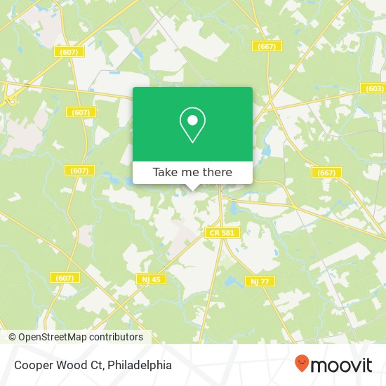 Mapa de Cooper Wood Ct