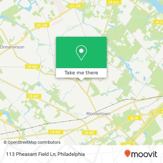 Mapa de 113 Pheasant Field Ln