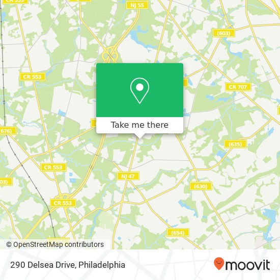 290 Delsea Drive map