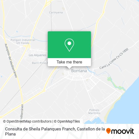 Consulta de Sheila Palanques Franch map