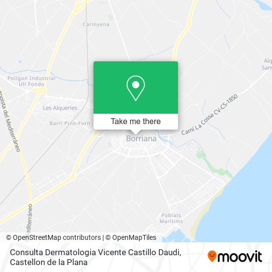 Consulta Dermatologia Vicente Castillo Daudi map