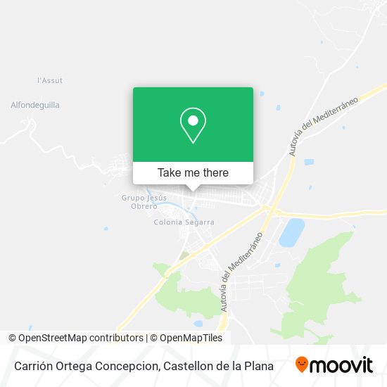 Carrión Ortega Concepcion map
