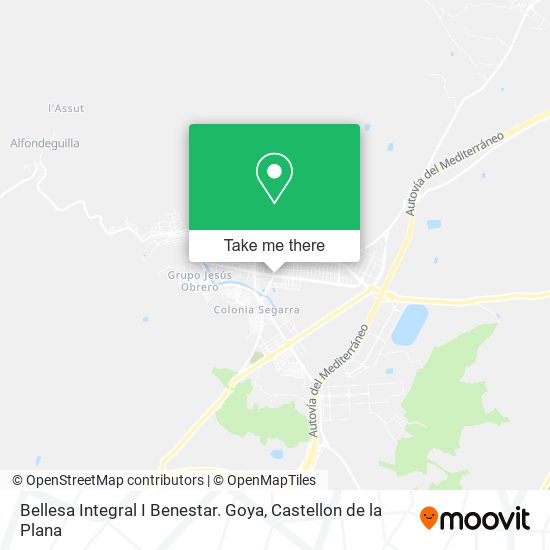 Bellesa Integral I Benestar. Goya map
