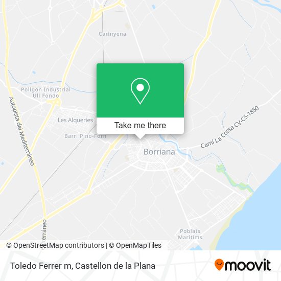 Toledo Ferrer m map