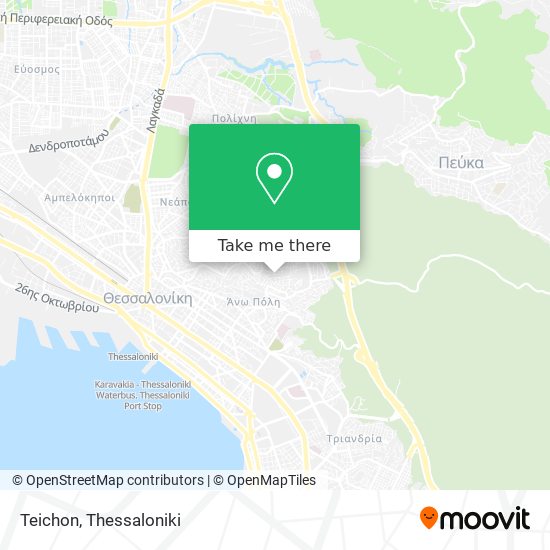 Teichon map