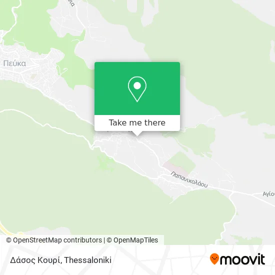 Δάσος Κουρί map