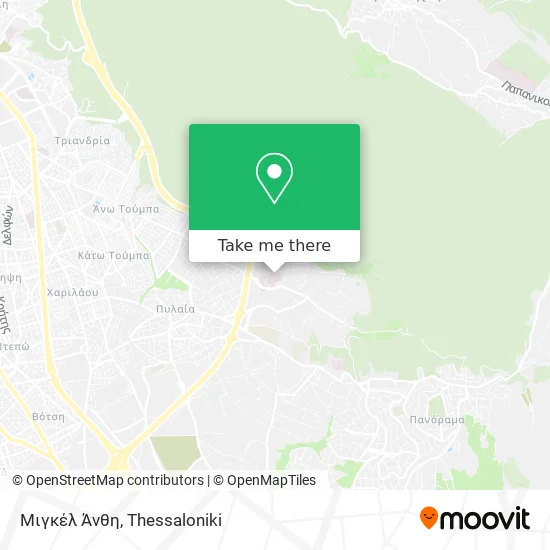 Μιγκέλ Άνθη map