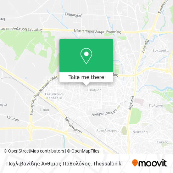 Πεχλιβανίδης Άνθιμος Παθολόγος map