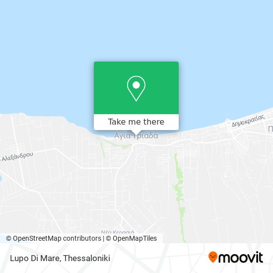 Lupo Di Mare map