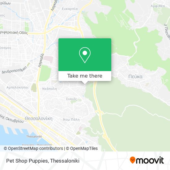 Pet Shop Puppies map