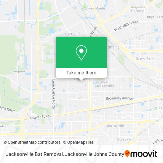 Jacksonville Bat Removal map