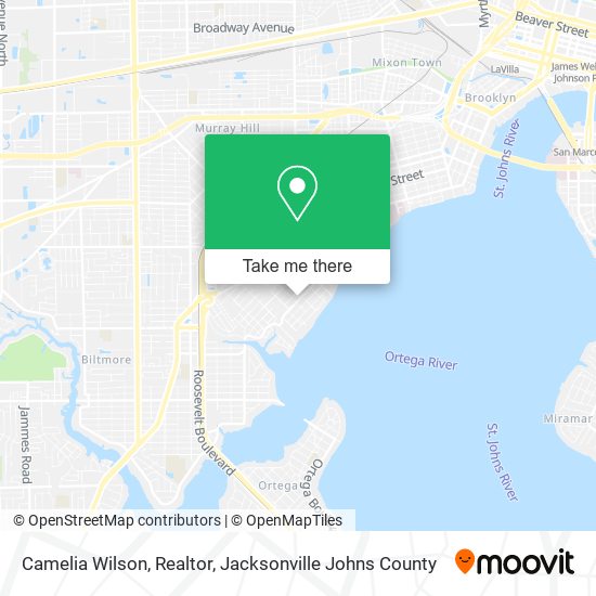 Camelia Wilson, Realtor map
