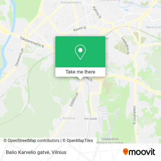 Balio Karvelio gatvė map