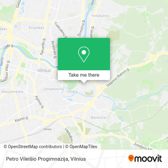 Карта Petro Vileišio Progimnazija