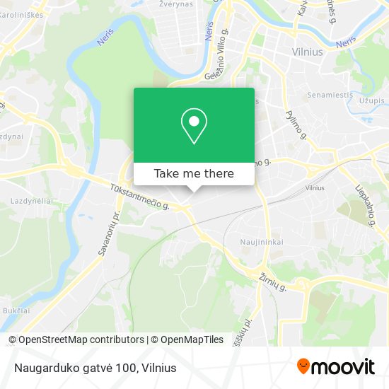 Naugarduko gatvė 100 map