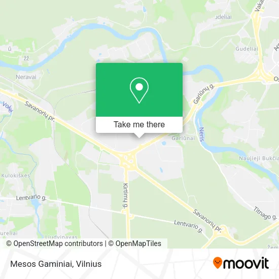 Карта Mesos Gaminiai