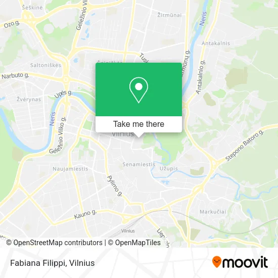 Карта Fabiana Filippi