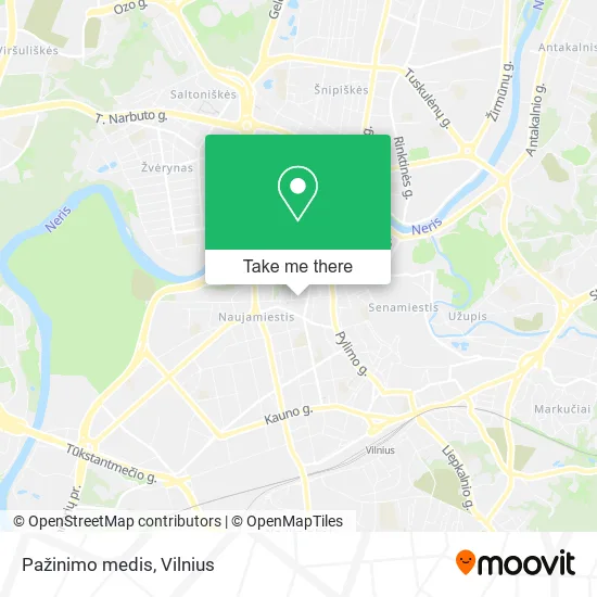 Карта Pažinimo medis