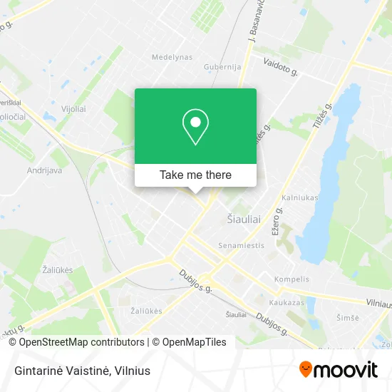 Gintarinė Vaistinė map