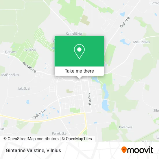 Карта Gintarinė Vaistinė