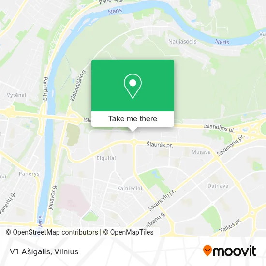 Карта V1 Ašigalis