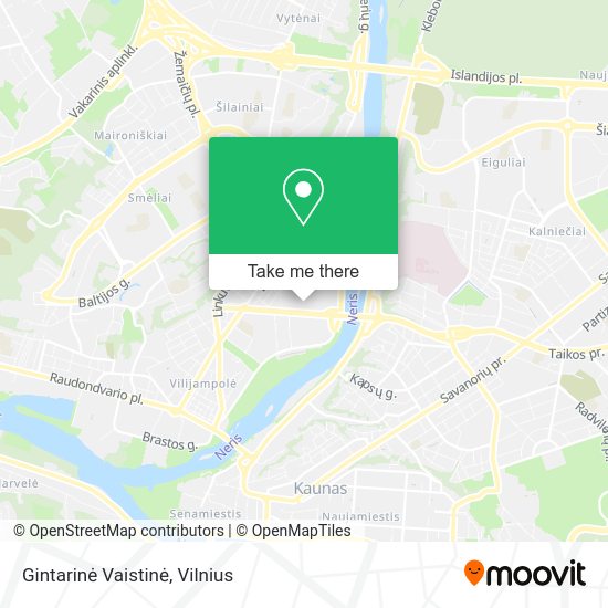 Карта Gintarinė Vaistinė